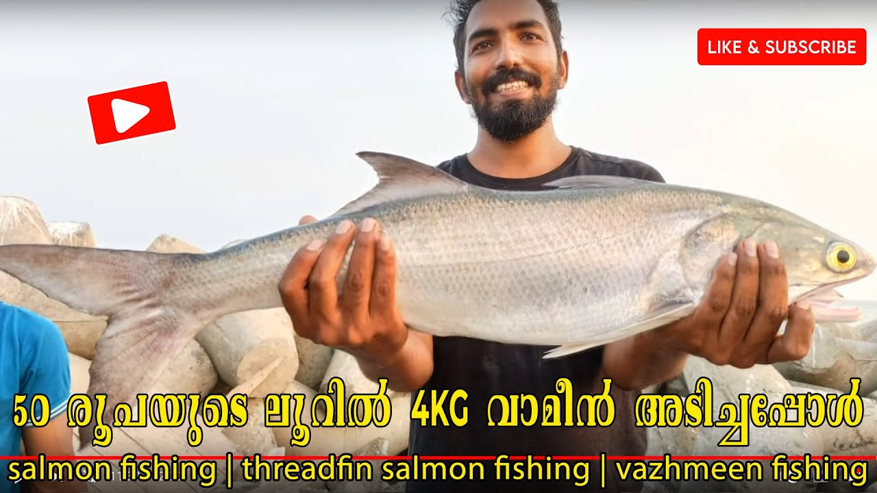 threadfin salmon fishing Kerala | salmon fishing kerala | vameen fishing | indian salmon fishing |