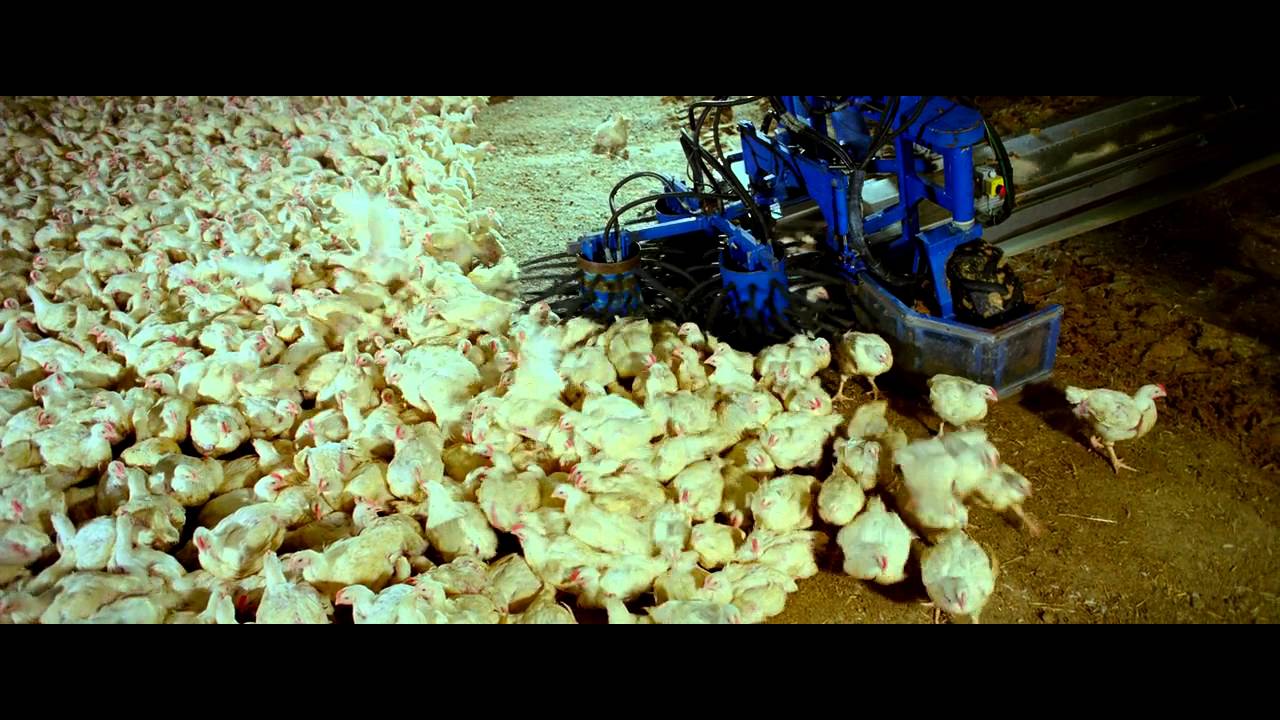 Samsara (2011) Clip