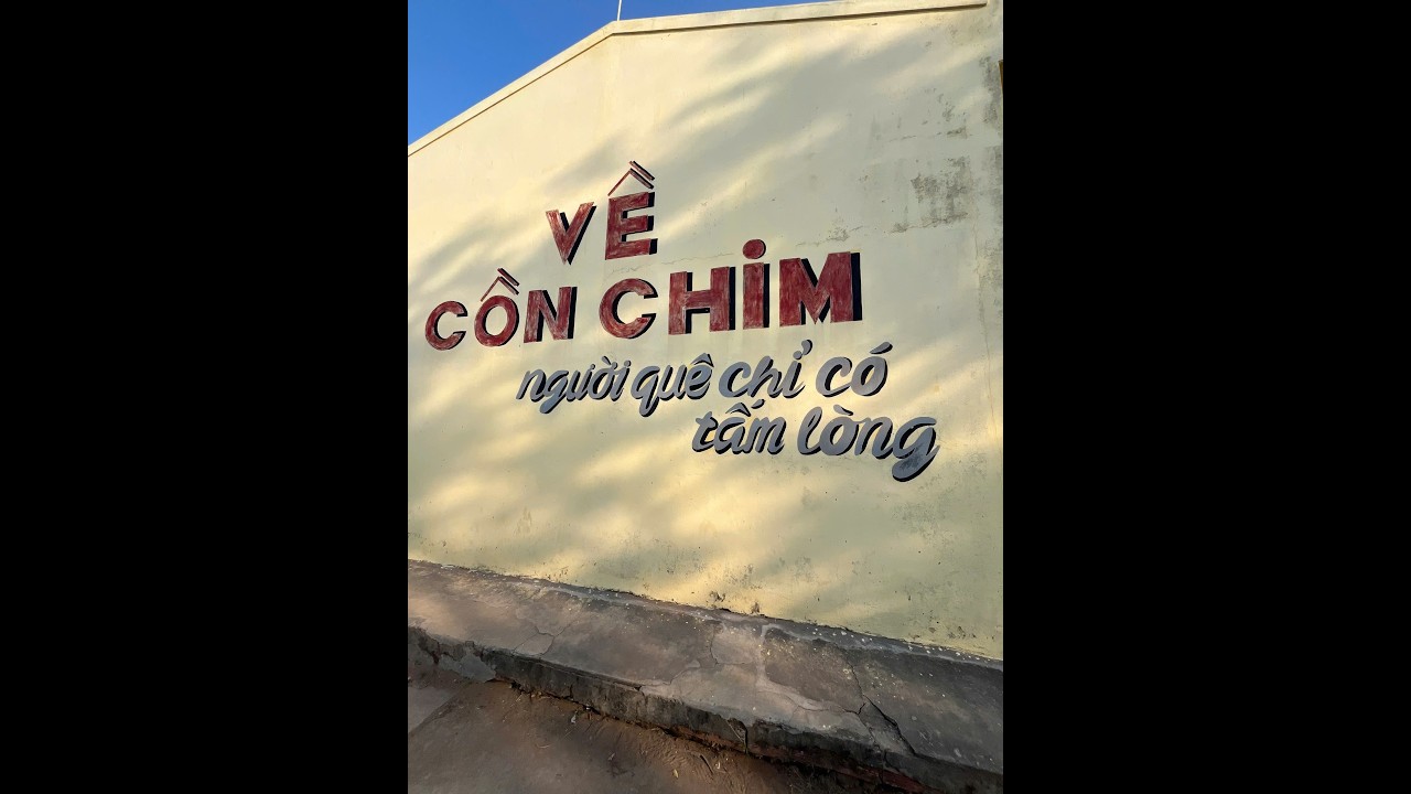 THPT VŨ ĐÌNH LIỆU _ HBTA VL 2025 - 2026