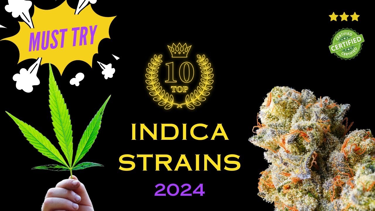 Top 10 Indica Strains in 2024 - Every Grower Must Try!!