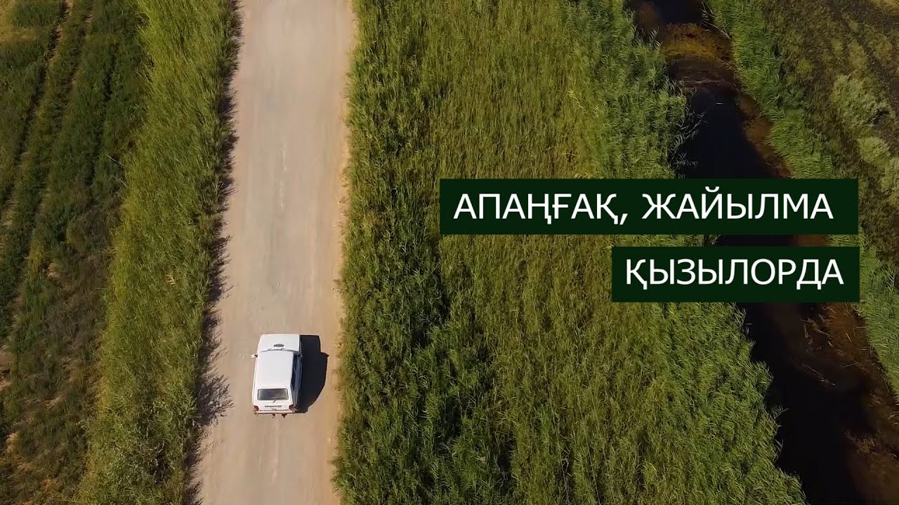 ҚЫЗЫЛОРДА. КЫЗЫЛОРДА 2021. ЖАЙЫЛМА. АПАҢҒАҚ. ЖАЛҒЫЗ ЖОЛАУШЫ (16 ШЫҒАРЫЛЫМ)