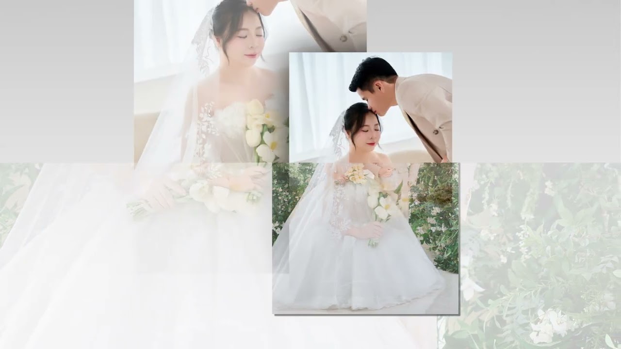 Phượng Chình HD