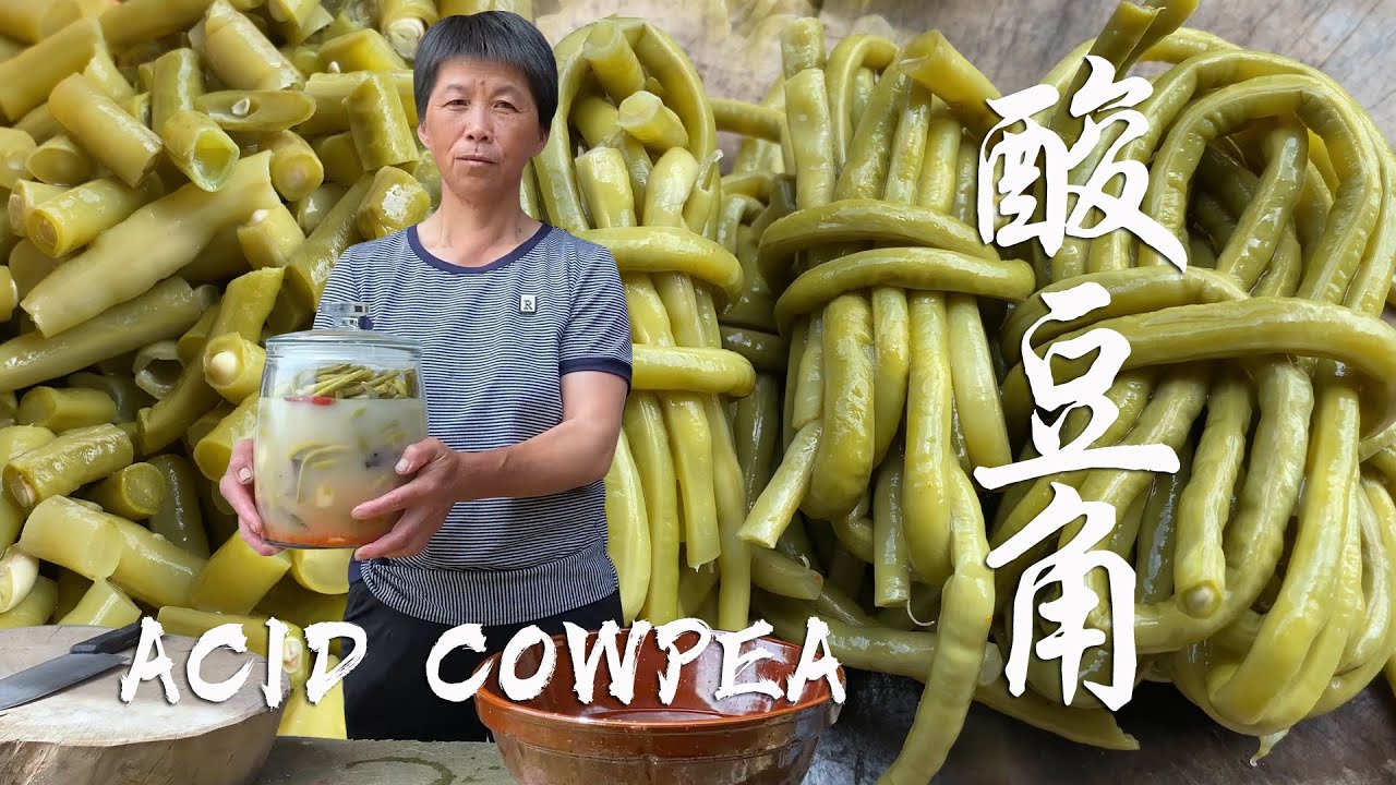 豇豆长满枝藤，阿嬷摘来用米汤腌制“酸豆角”，3天后脆辣酸爽丨ACIP COWPEA【闽湖阿嬤Fujian Grandma】