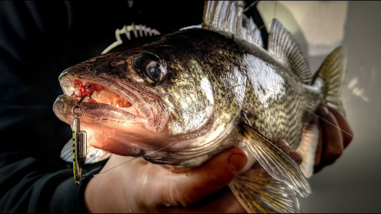 SnoBear Don't Care!! Crushing Super Fat Walleyes and Perch on Bitter Lake, South Dakota  - S14 E6