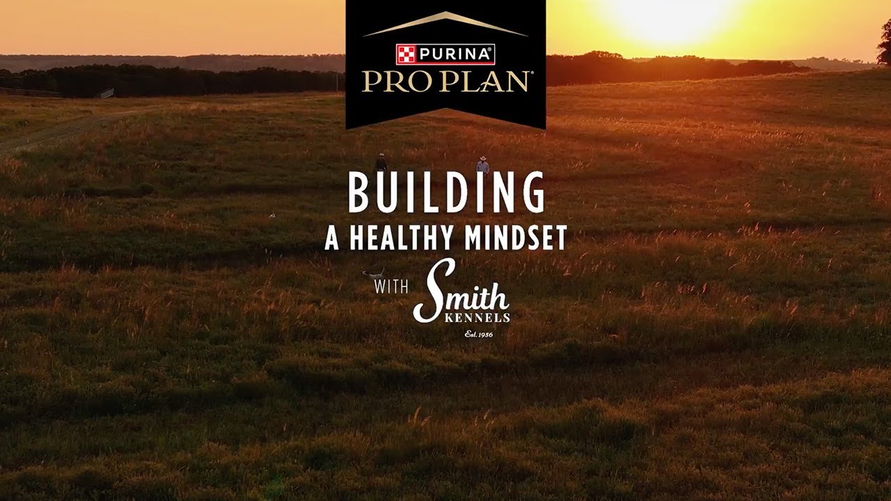 Smith Kennel Training: Building a Healthy Mindset