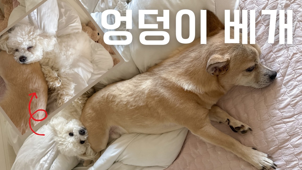 국민 엉덩이 🍑 김라꿍