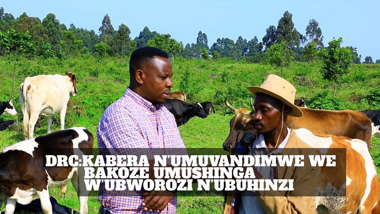 DRC :  TWASUYE UMUSHINGA WA KABERA N'UMUVANDI WE AHO BATEYE IBITI  NDETSE N'UBWOROZI  I KICHANGA