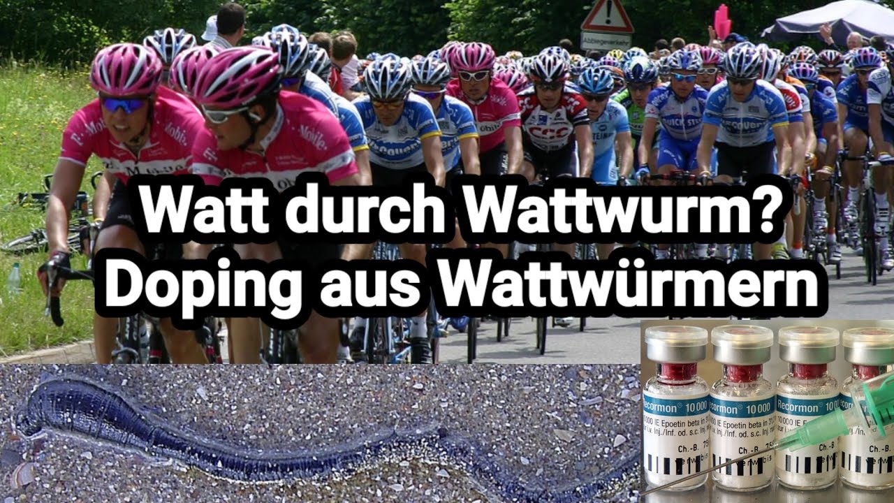 Was Wattwürmer mit Doping zu tun haben | schnell erklärt
