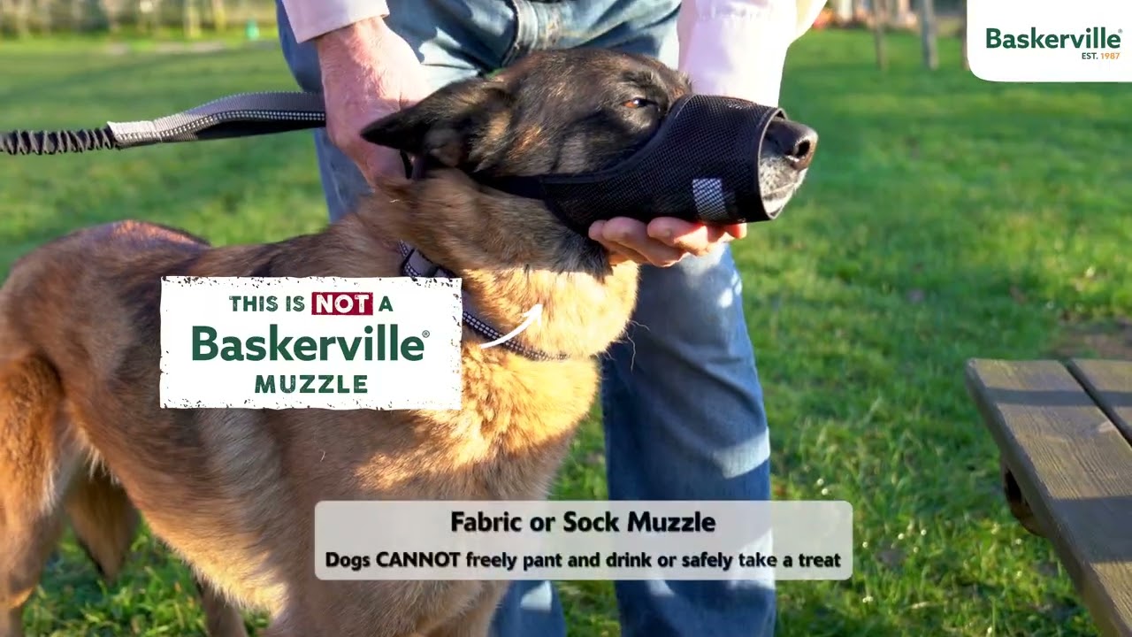 Baskerville Ultra SoftVsBaskerville Video HM 20230929 3