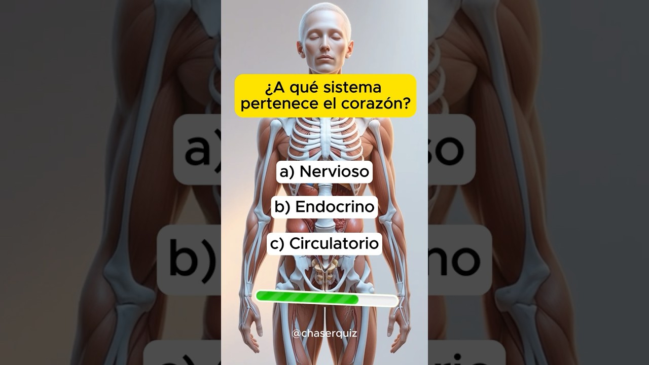 Test de Anatom&iacute;a Humana que el 90% FALLA ❌