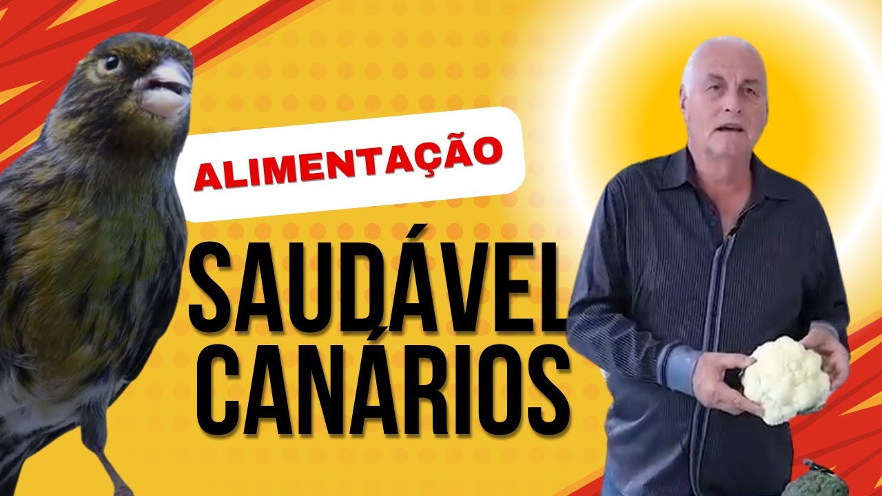 Alimentação Saudável para Canários: Conheça as Verduras, Frutas e Legumes Ideais!