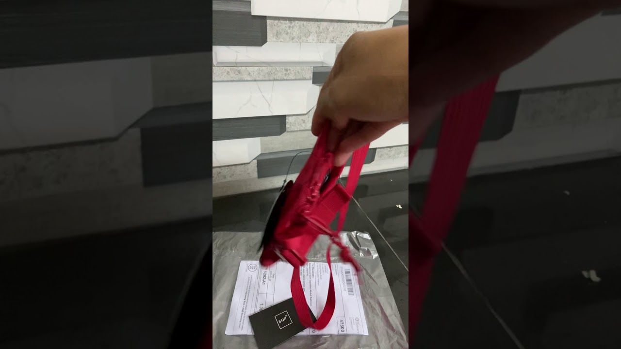 Supreme fw20 neck bag