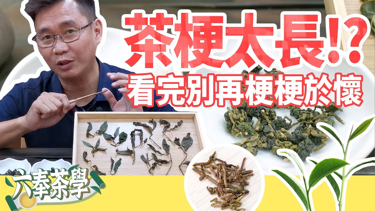 【六奉茶莊】茶梗太長！？看完這部影片讓您不再梗梗於懷，分享茶梗長短的兩個主要原因