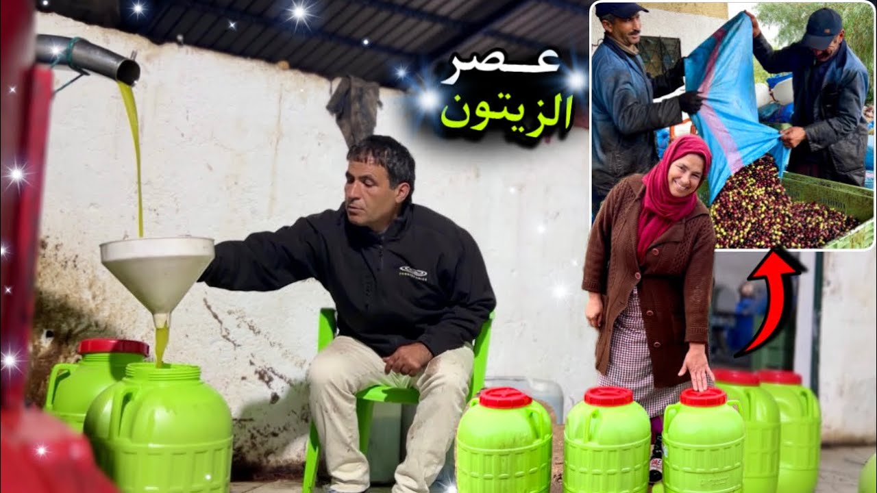 طحن الزيتون و استخراج الزيت بطريقة عصرية في احسن مطحنة بالمنطقة