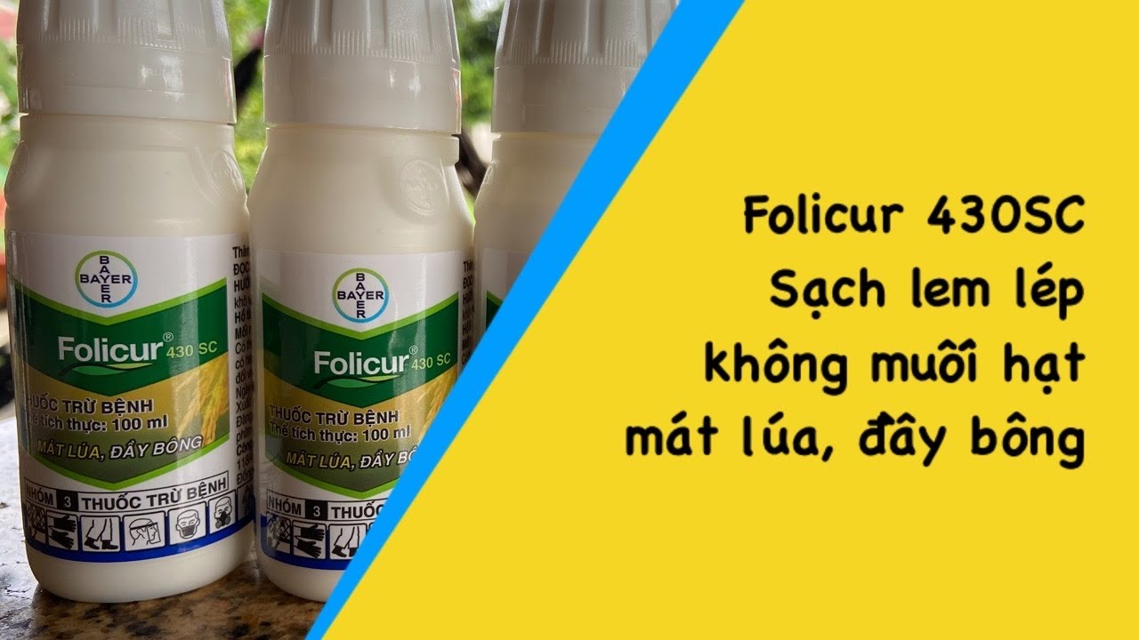 Folicur 430SC. Quản l&yacute; lem l&eacute;p hạt, s&aacute;ng hạt, m&aacute;t l&uacute;a, đầy b&ocirc;ng