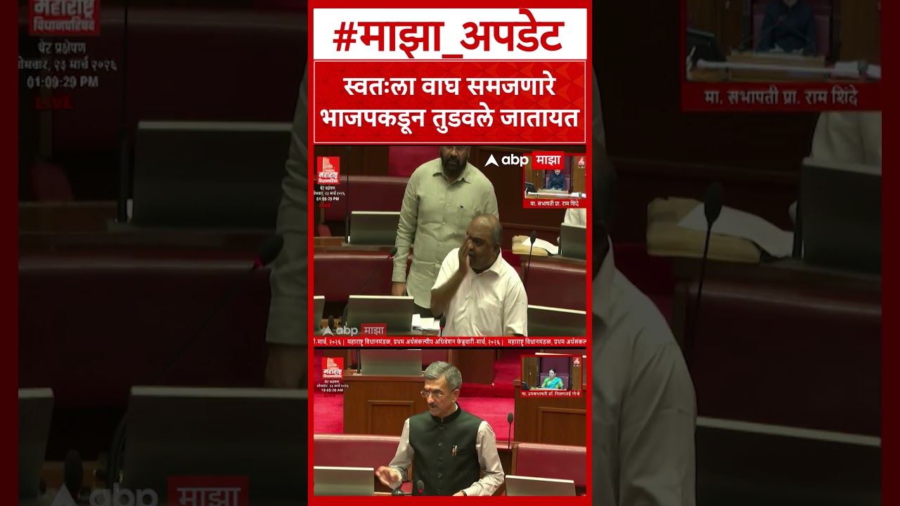 Anil Parab on Shambhuraj Desai : स्वतःला वाघ समजणारे भाजपकडून तुडवले जातायत