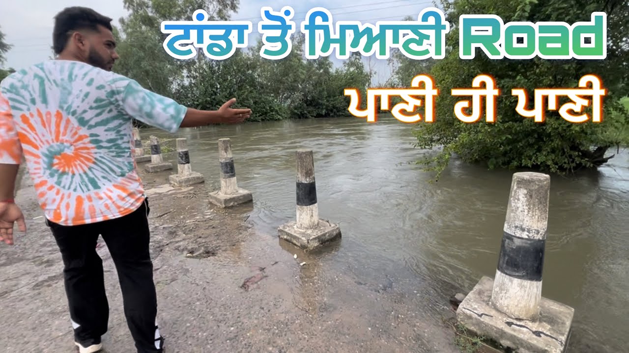 ਟਾਂਡਾ ਤੋ ਮਿਆਣੀ Road ਪਾਣੀ ਹੀ ਪਾਣੀ 😱 ਪੌਂਗ ਡੈਮ ਦਾ ਪਾਣੀ #pongdam 