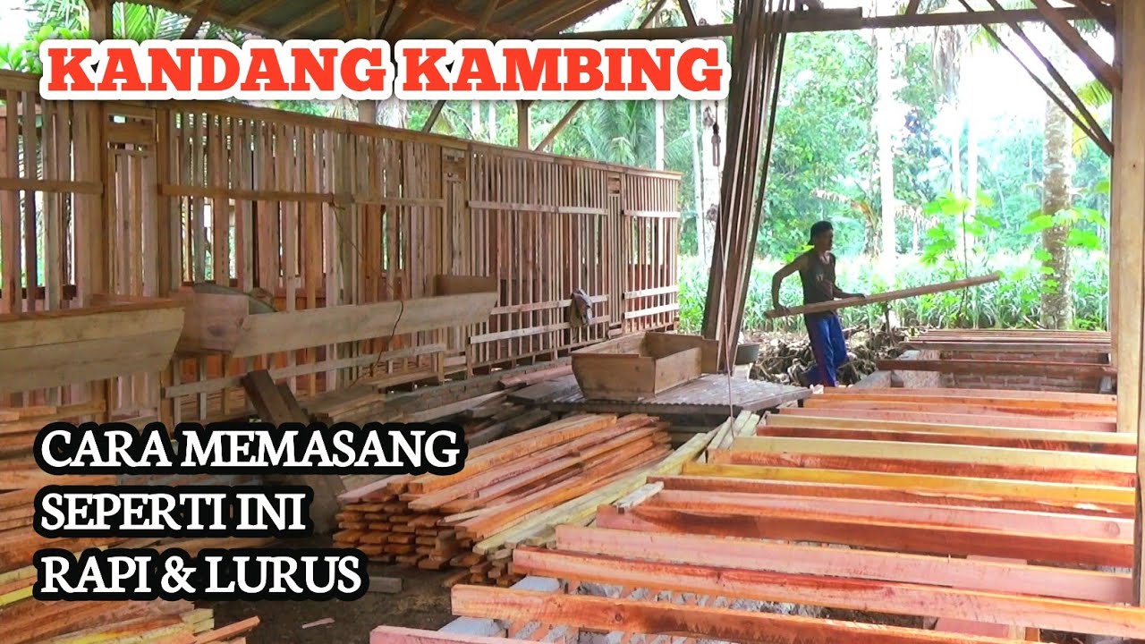 CARA MEMASANG GELADAK LANTAI KANDANG KAMBING