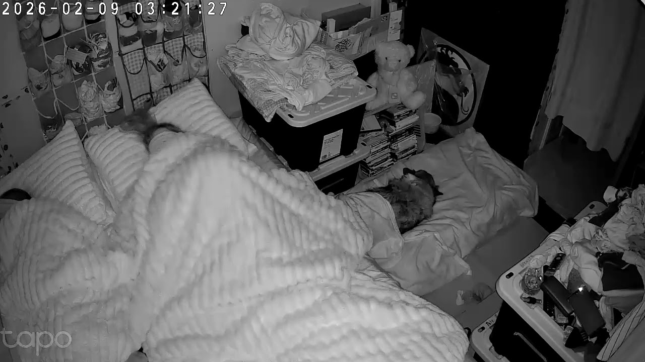 Sleep sweet part 1