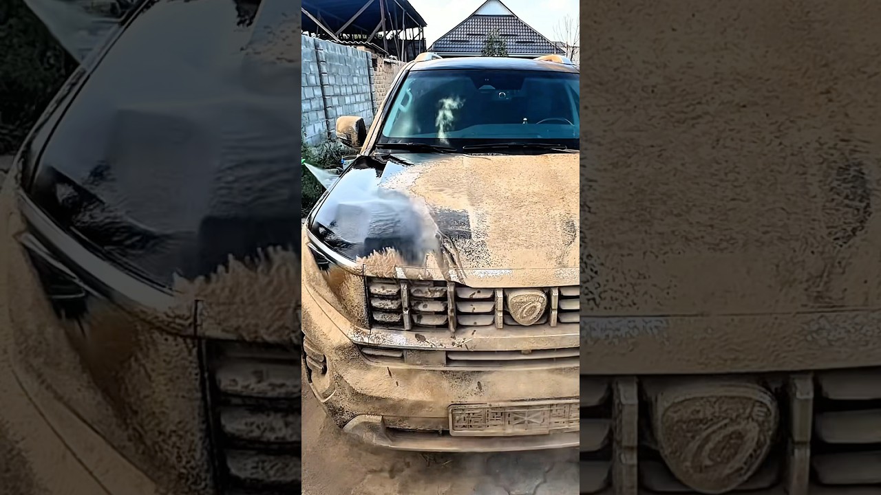 Dirtiest car #abandonedcar #carrestorationproject #automobile