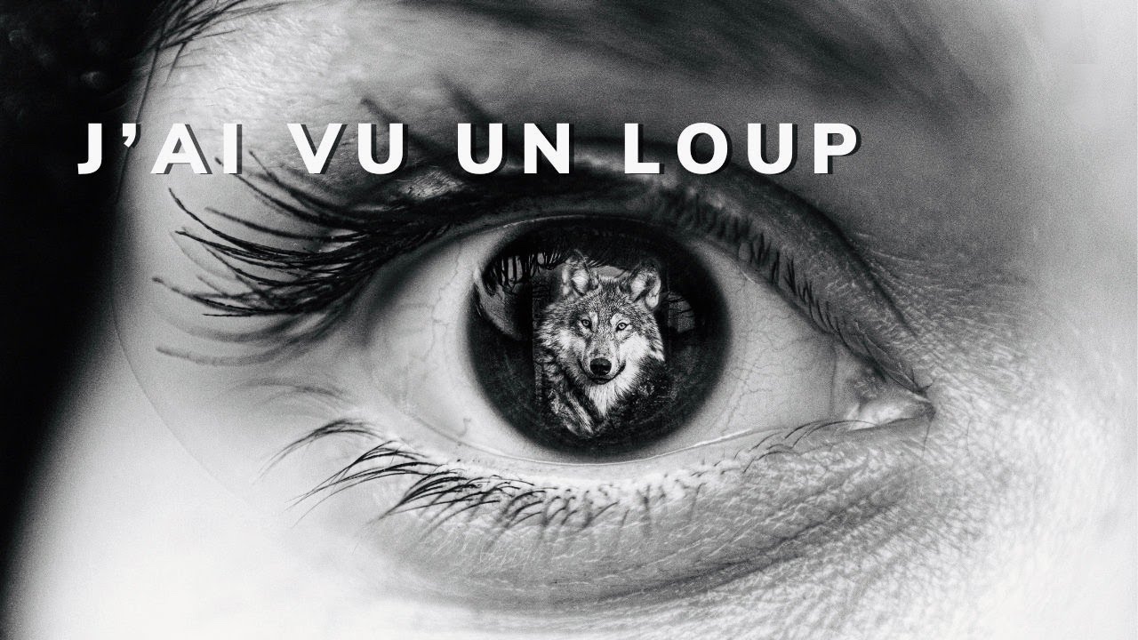 Chap.7 Le chant des loups