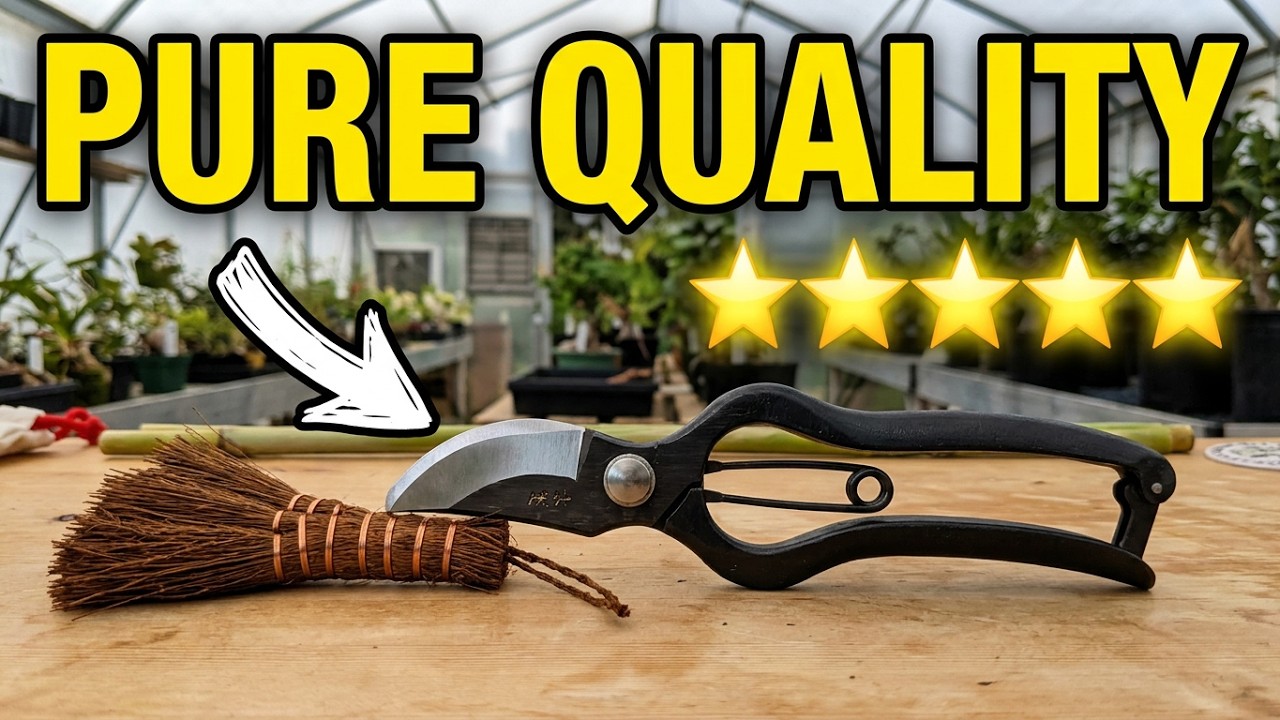 🇯🇵 Niwaki sentei secateurs / shuro brush unboxing & initial review