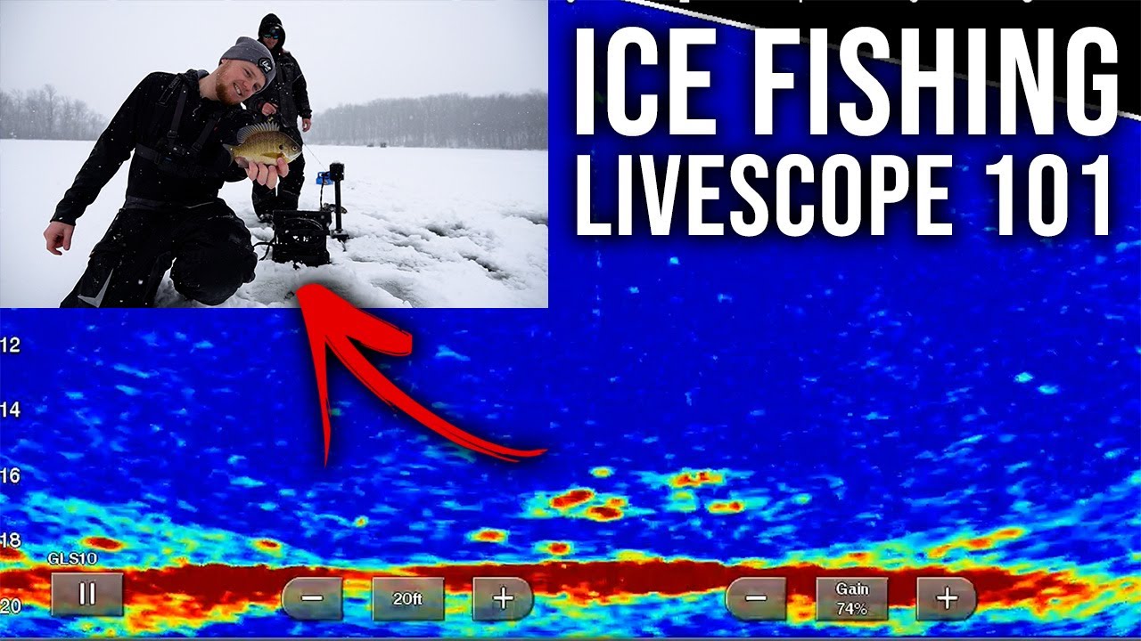 Using Garmin Livescope to Break Down NEW Water! (FIND Fish Like a PRO!)