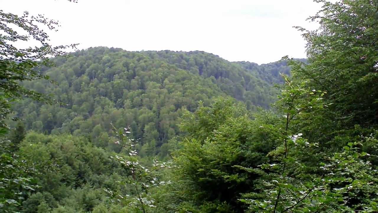 Bismarckturm auf dem Kummel, Bad Lauterberg