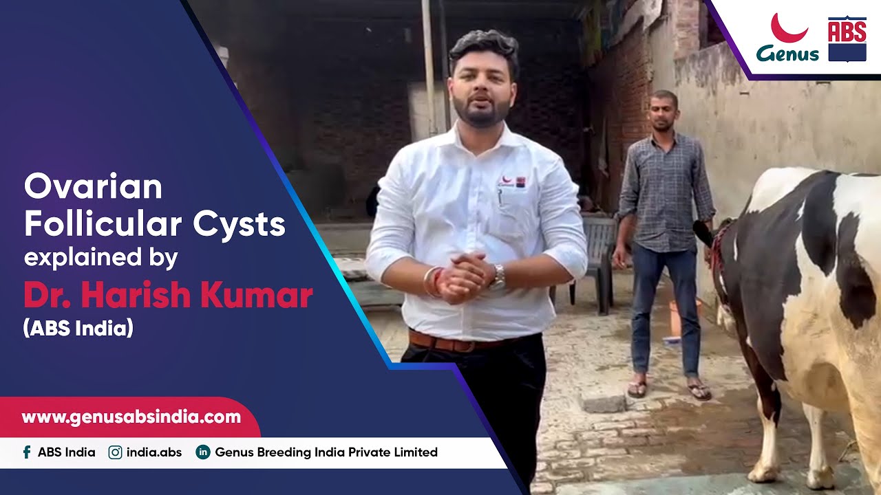 Ovarian Follicular Cysts explained by Dr. Harish Kumar (ABS India)
