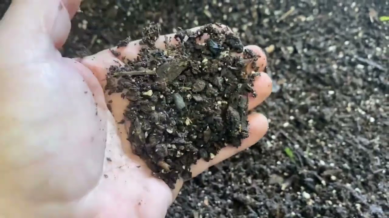 How I Make My Own Bioactive Potting Soil