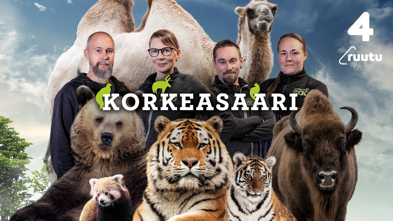 Korkeasaari | TV-sarjan 2. tuotantokausi Nelosella 14.11.2023 alkaen!