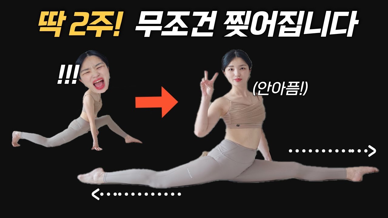 수백명이 성공한 가장 쉬운 방법 🔥왕초보가능ㅣ다리찢기 일자되는법