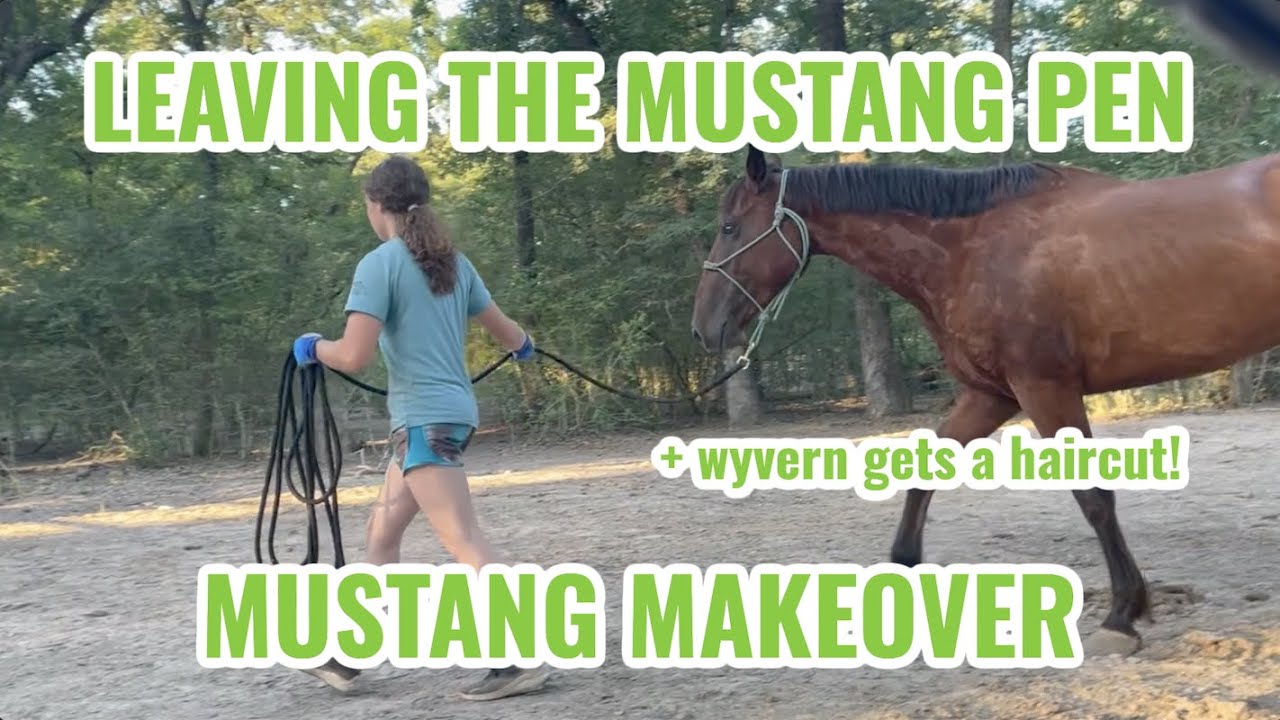 Leaving the Mustang Pen | Wyvern 6