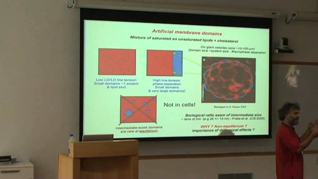 Madan Rao - Techniques lecture 2