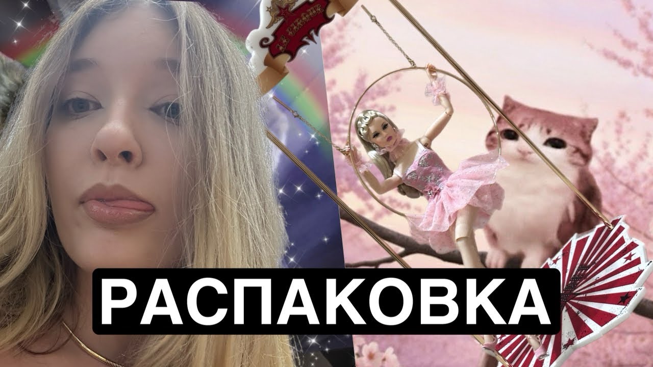 Распаковка цирковой попки паркер интегрити тойс 