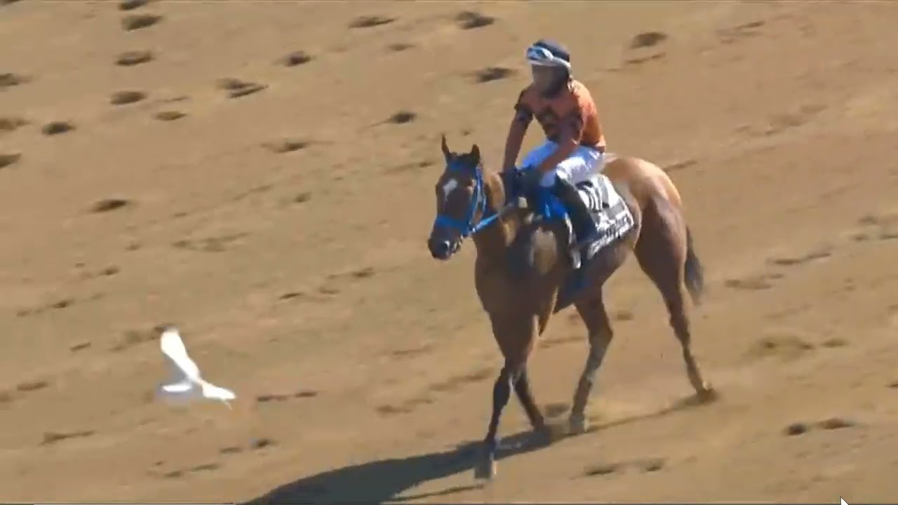 R2 1Aqueduct 13 Feb 2026