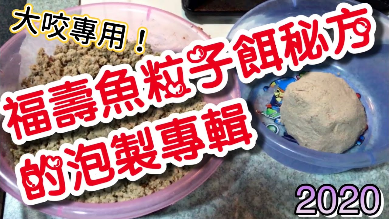 （休閒池釣福壽魚不傳之秘方）稱霸釣魚池的秘餌！（福壽魚粒子餌秘方的泡製專輯）大咬專用餌！冷凍餌混粒子製成小B餌2020