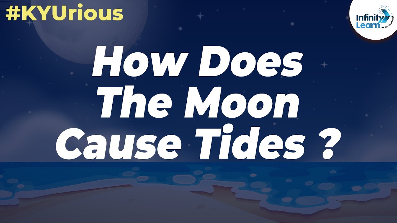 KYU Box Season 3 | Qpisode 5 | How does the Moon cause Tides?| Don't Memorise