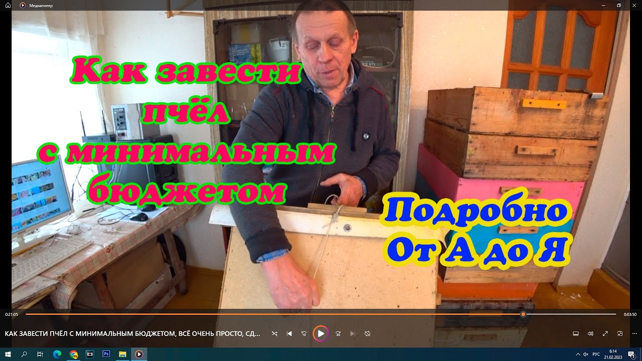 КАК ЗАВЕСТИ ПЧЁЛ С МИНИМАЛЬНЫМ БЮДЖЕТОМ, ВСЁ ОЧЕНЬ ПРОСТО, СДЕЛАЙ ЭТО, ТУТ ВСЁ от А до Я.