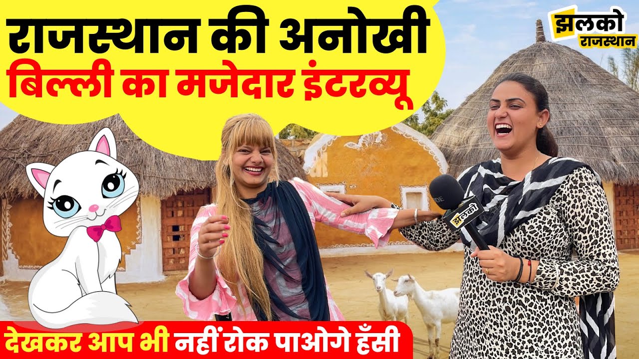 राजस्थान की अनोखी बिल्ली का मजेदार इंटरव्यू, देखकर आ जायेगा मज़ा ~ Rajasthan News