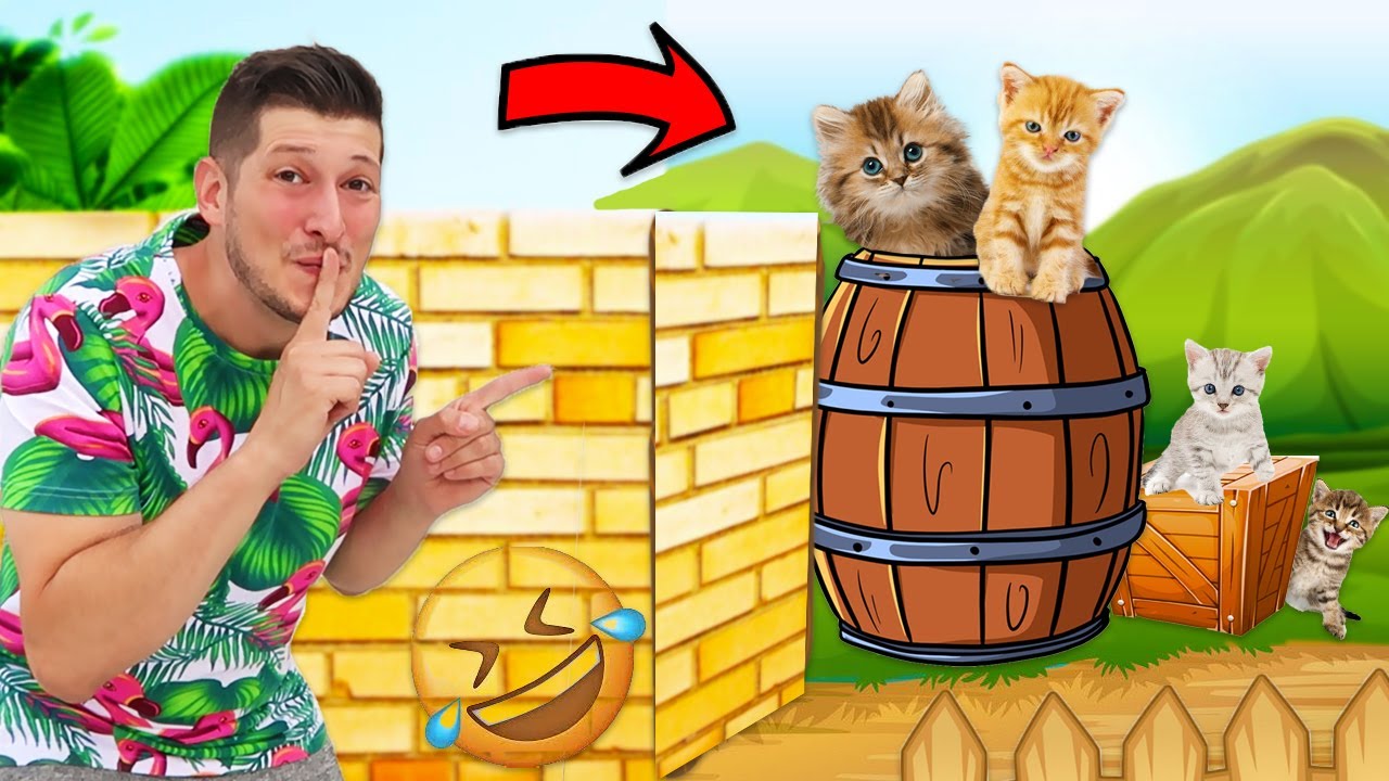 ŽMURKA SA MAČKAMA