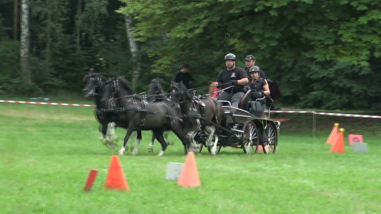 SIERAKÓW 2018 SEBASTIAN CICHOCKI AMATORSKIE ZAWODY W  POWOŻENIU