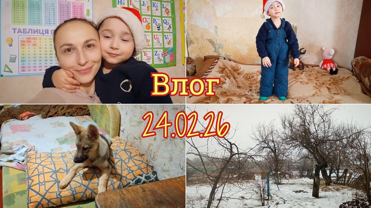 Vlog 24.02.2026