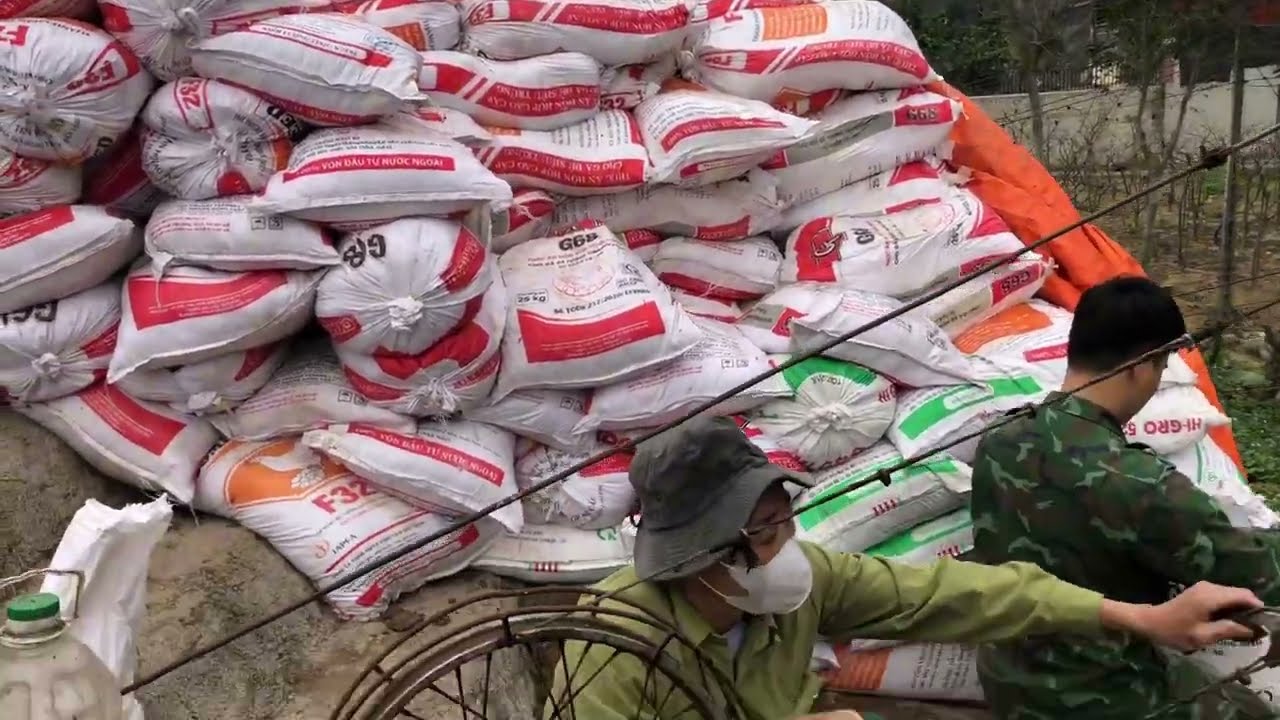 Vận chuyển phân bằng cáp treo lên núi để bón na ở Chi Lăng Lạng Sơn