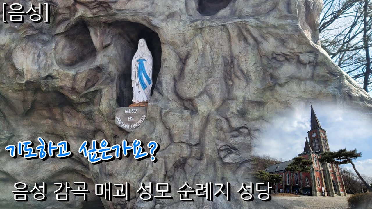 [음성] 아무것도 걱정하지 마십시오! 음성 감곡 매괴 성모 순례지 성당(with 클로바더빙)
