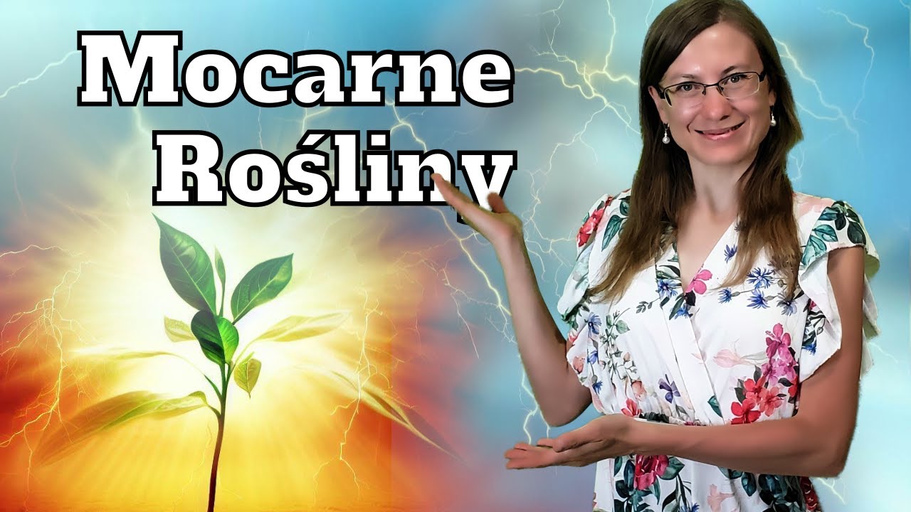 Te Zioła Zahamują Choroby Autoimmunologiczne, Stany Zapalne