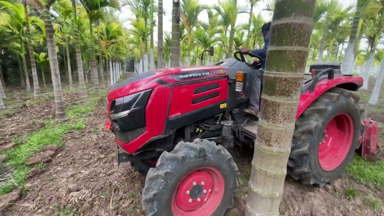Mahindra 3136 OJA TRACTOR