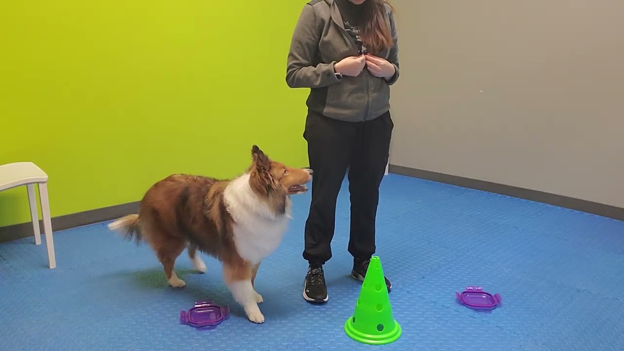 Barclay conditioning 