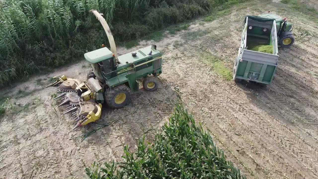 MAIS SILAGE 2K21. JOHN DEERE 6850 + TESTATA KEMPER. 2X TRAILERS (JD-CLAAS). (GIANSANTE).