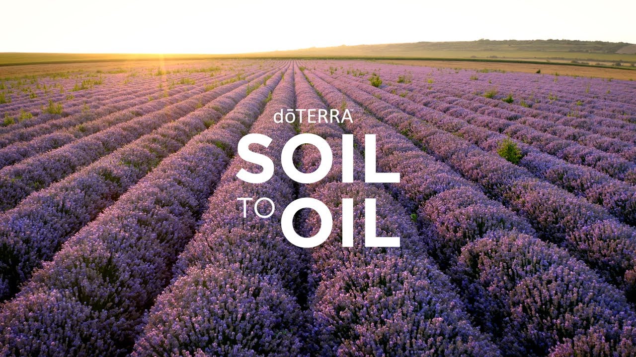 doTERRA Soil to Oil